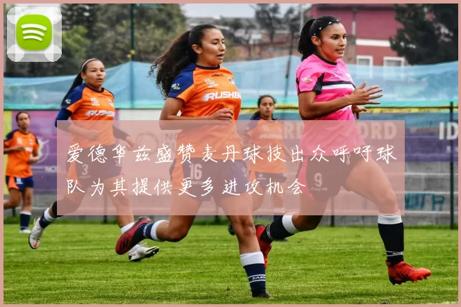 爱德华兹盛赞麦丹球技出众呼吁球队为其提供更多进攻机会